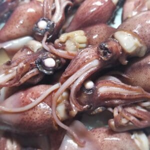 生のホタルイカの踊り食いは危険・寄生虫で腸閉塞を引き起こすこともある